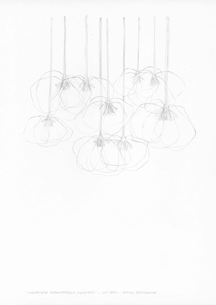 Lucile Bertrand - Suspended transparent flowers