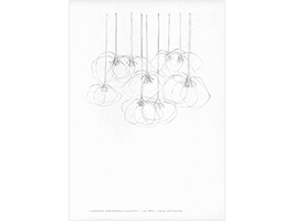 Lucile Bertrand - Suspended transparent flowers
