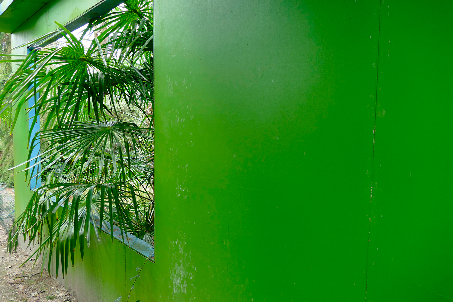 Lucile Bertrand - Green wall