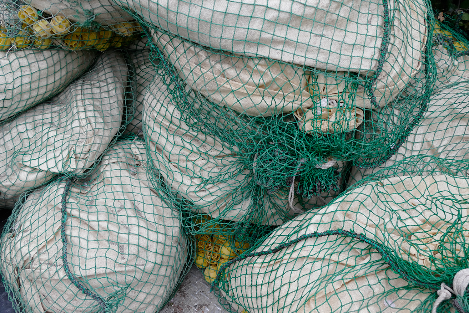 Lucile Bertrand - Street bags