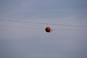 Lucile Bertrand - Photos