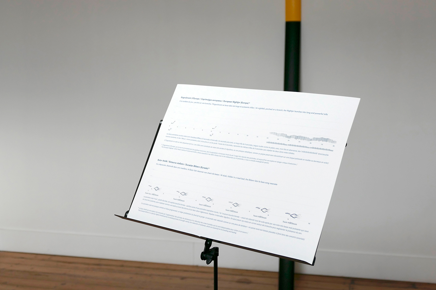 Lucile Bertrand - A Place Apart